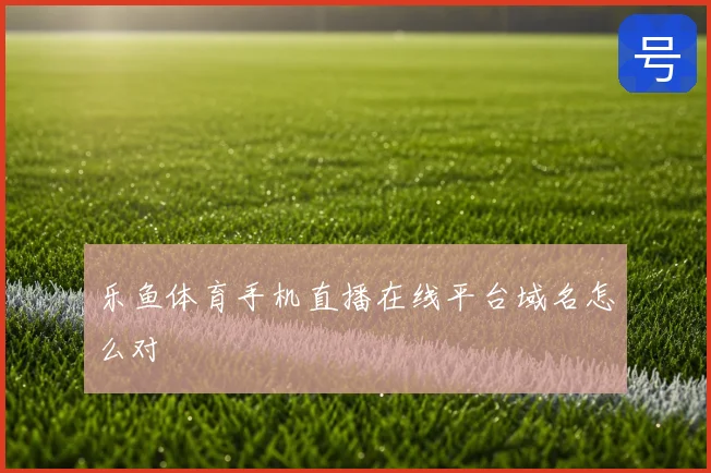 乐鱼体育手机直播在线平台域名怎么对